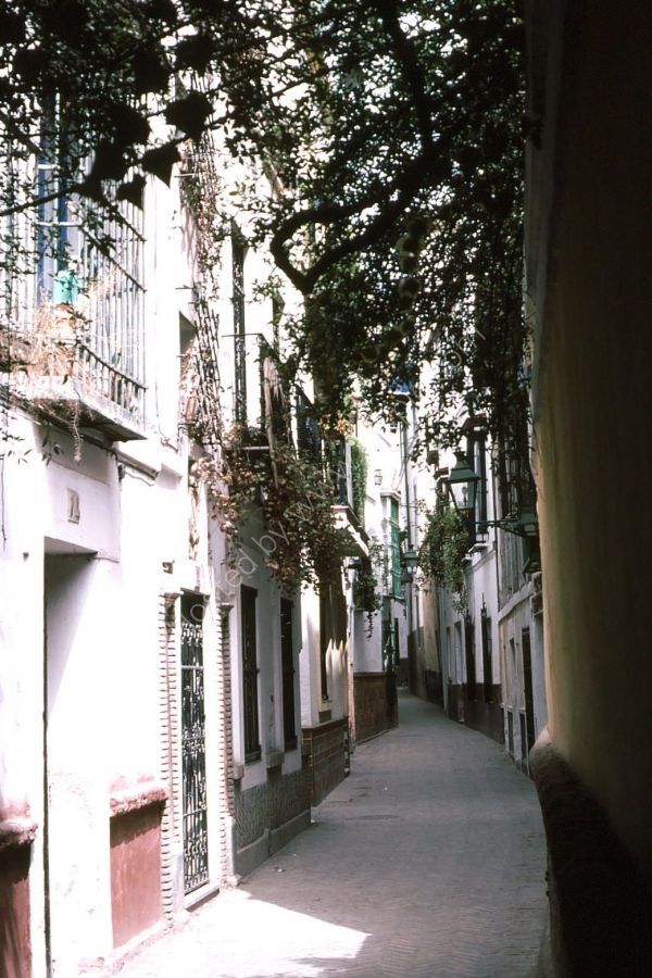 Typical Houses in Side Street, Seville